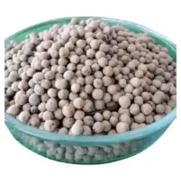 Gracehub Allspice Seeds