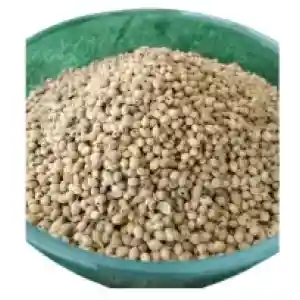 Gracehub Coriander Seeds