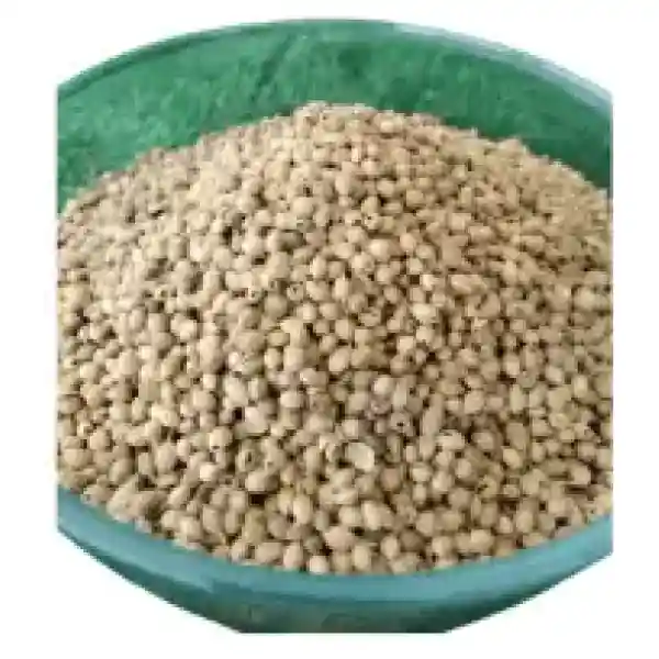 Gracehub Coriander Seeds