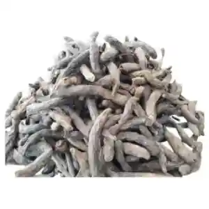 Gracehub Negro Pepper