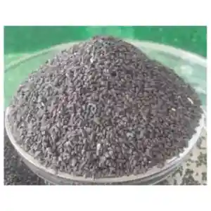 Gracehub Black Seeds