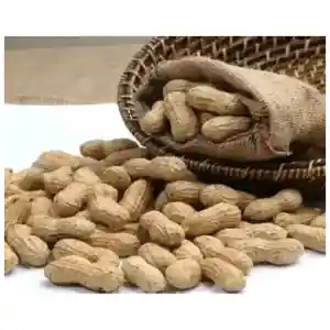 Fried Groundnuts "Soft" (Paint bucket)