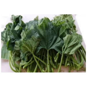 Fresh Ugu / Pumpkin Leaves – 1 Bunch