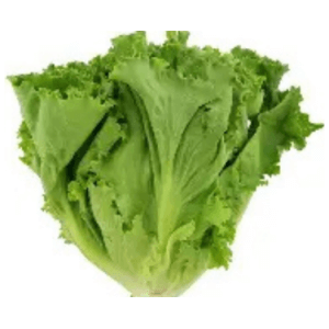 Lettuce Leaves – 1 Bunch