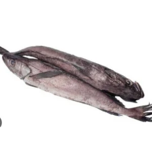 Frozen Hake fish 1kg